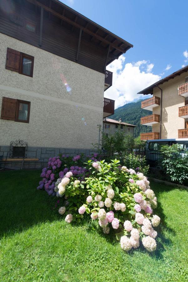 بينْسولُ Residence Alpen Casavacanze المظهر الخارجي الصورة